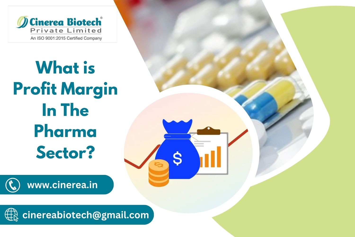 Profit Margin In The Pharma Sector