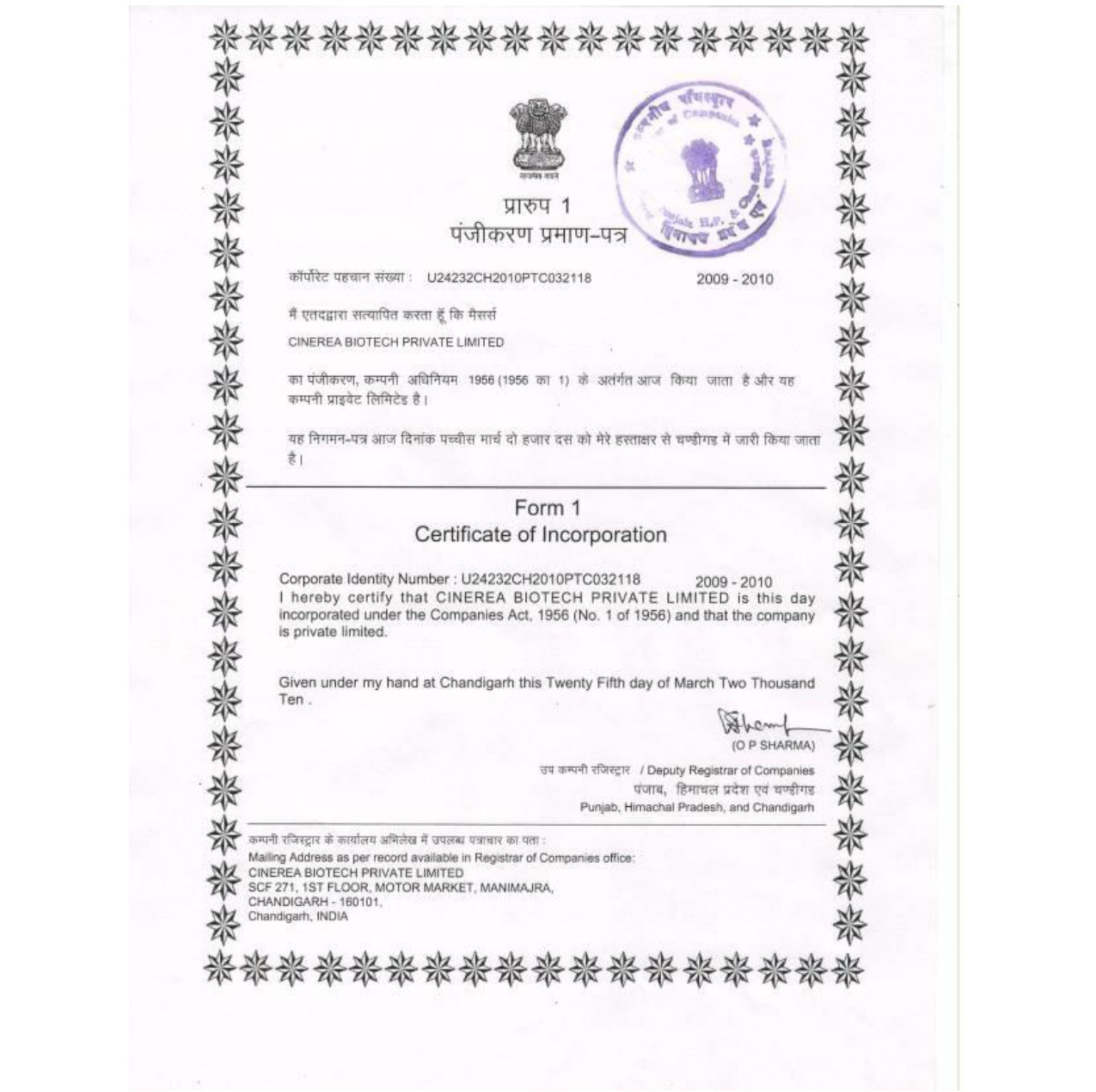 CINEREA CERTIFICATE OF INCORPORATION