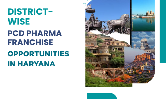 District-Wise PCD Pharma Franchise Opportunities in Haryana